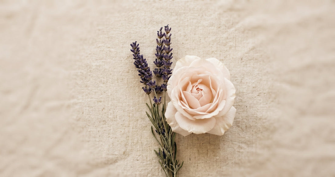 Rose vs. Lavender for Olfactory Training: Why We Chose Lavender: The Olfactory Training Kit