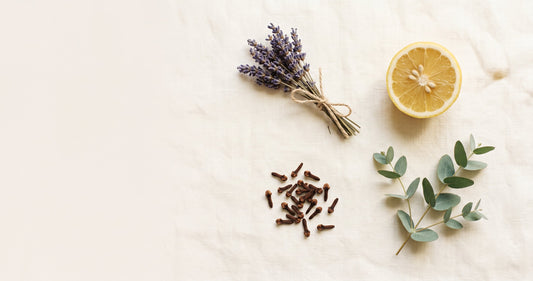 What Is Olfactory Training? A Complete Guide: The Olfactory Training Kit