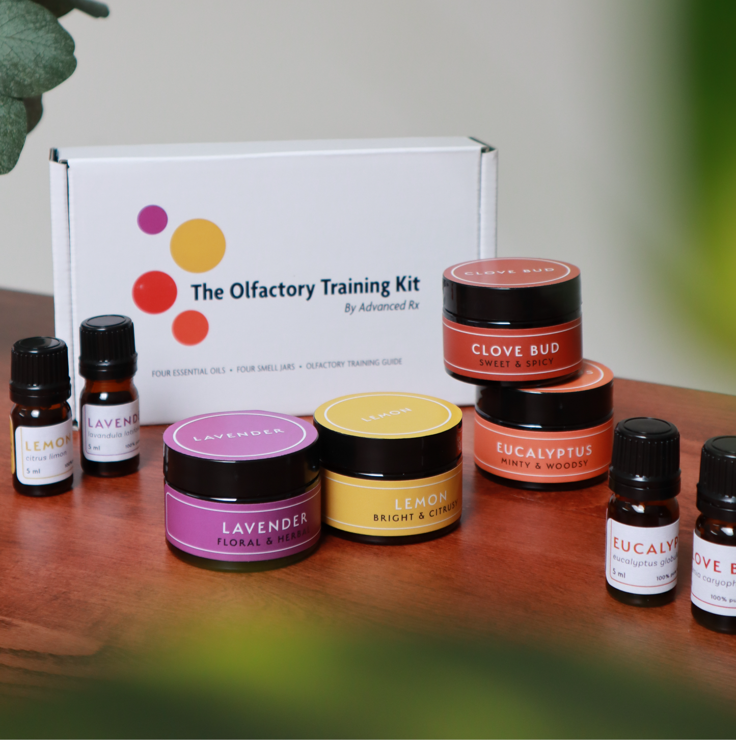 The Olfactory Training Kit: full kit product photo with all four oils and protocol card.