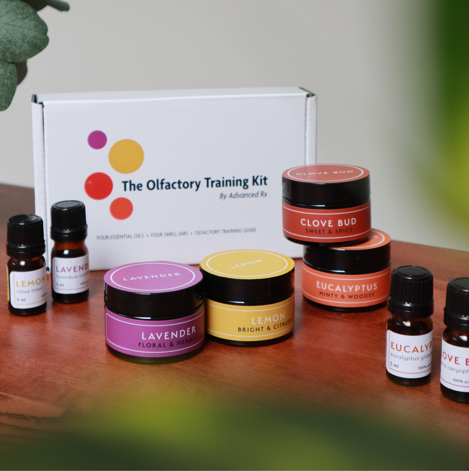 The Olfactory Training Kit: full kit product photo with all four oils and protocol card.